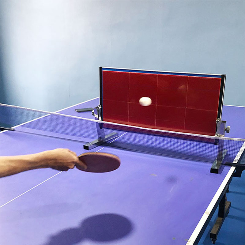 Table Tennis Daily - Home Table Tennis Rebound Board Ping