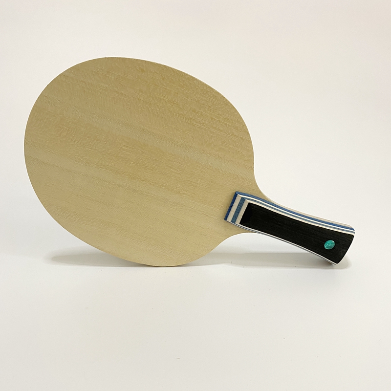 Lemuria VIS Carbon Fiber Table - đánh giá và giá Xu Xin Table Tennis
