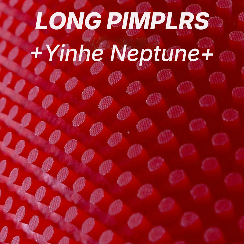 YINHE NEPTUNE Long Pimples Tab - đánh giá và giá Table Tennis Defense